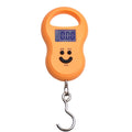 Balança eletrônica portátil, mini balança de gancho pequena, balança pequena para bagagem de viagem, balança de bolso de 50 kg, digital de cozinha LCD